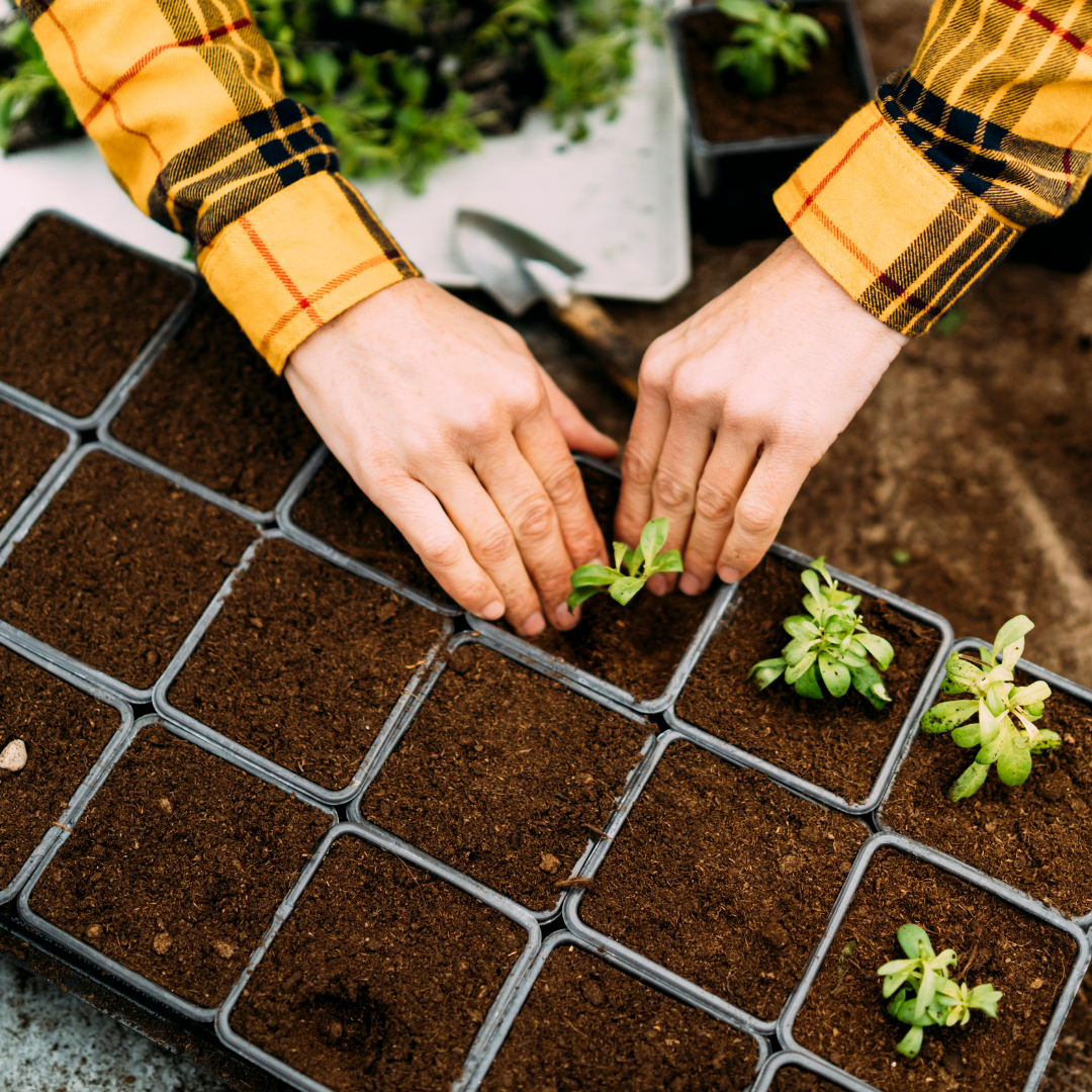 Products | Organic | Natural | Pasture Raised | GMO-Free